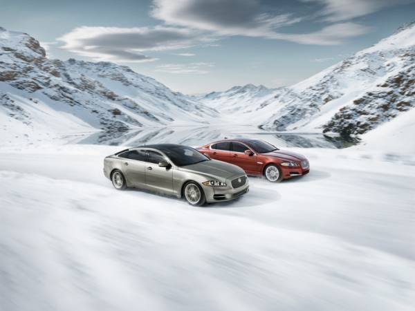 Photograph Kevin Necessary Jaguar Snow on One Eyeland